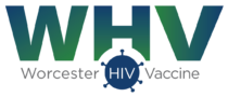 WHV Logo