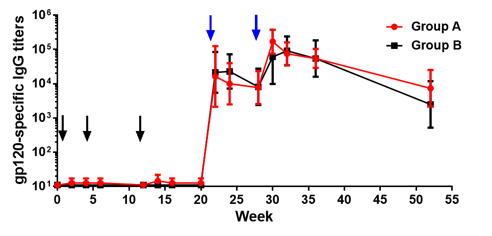 在DP6-001临床试验中， 受试者的包膜蛋白特异性抗体滴度。黑色箭头表示DNA免疫，蓝色箭头表示蛋白质加强免疫。图中显示了群组平均值和标准差。 