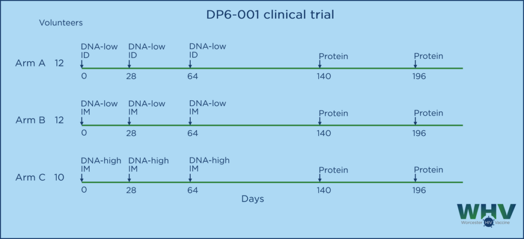 DP6-001是一项随机、开放标记的I期临床试验，其中三组志愿者在DNA初免方法上有所不同。A组接受皮内注射1.2mgDNA（低DNA组，ID），B组接受肌肉注射1.2mg DNA（低DNA组，IM），C组接受肌肉注射7.2mg DNA（高DNA租，IM）。所有组均给予肌肉注射两次重组蛋白(每次0.375 mg)进行加强，并辅以佐剂QS21 (50 mcg)
